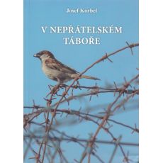 V nepřátelském táboře