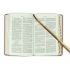 Biblia, Roháček, 2020, hnedá, indexy
